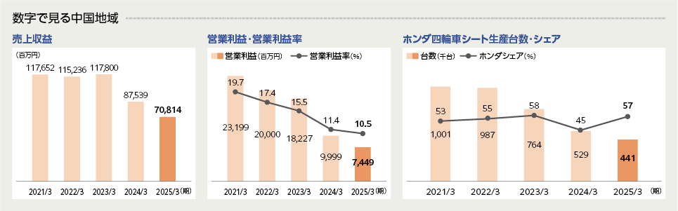 セグメント市場分析-中国地域