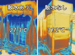 散水